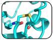 Computer-Aided Enzyme Stability Analysis