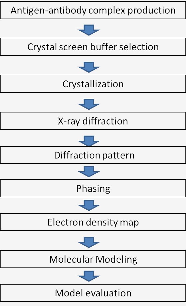 Workflow of X-ray crystallography mechanism.