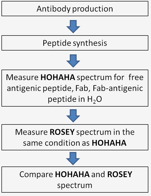 The diagram of the workflow for epitope mapping based on NMR analysis. (Creative Biolabs Original)