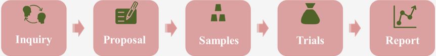CreMap™ Epitope Mapping by Peptide Microarray