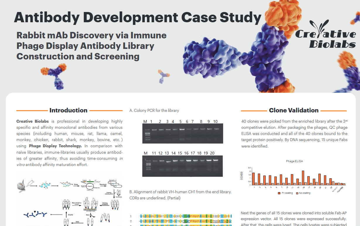 Case Study Inner Page