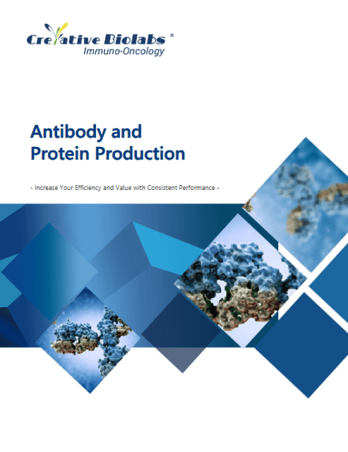 Antibody and Protein Production PDF Preview