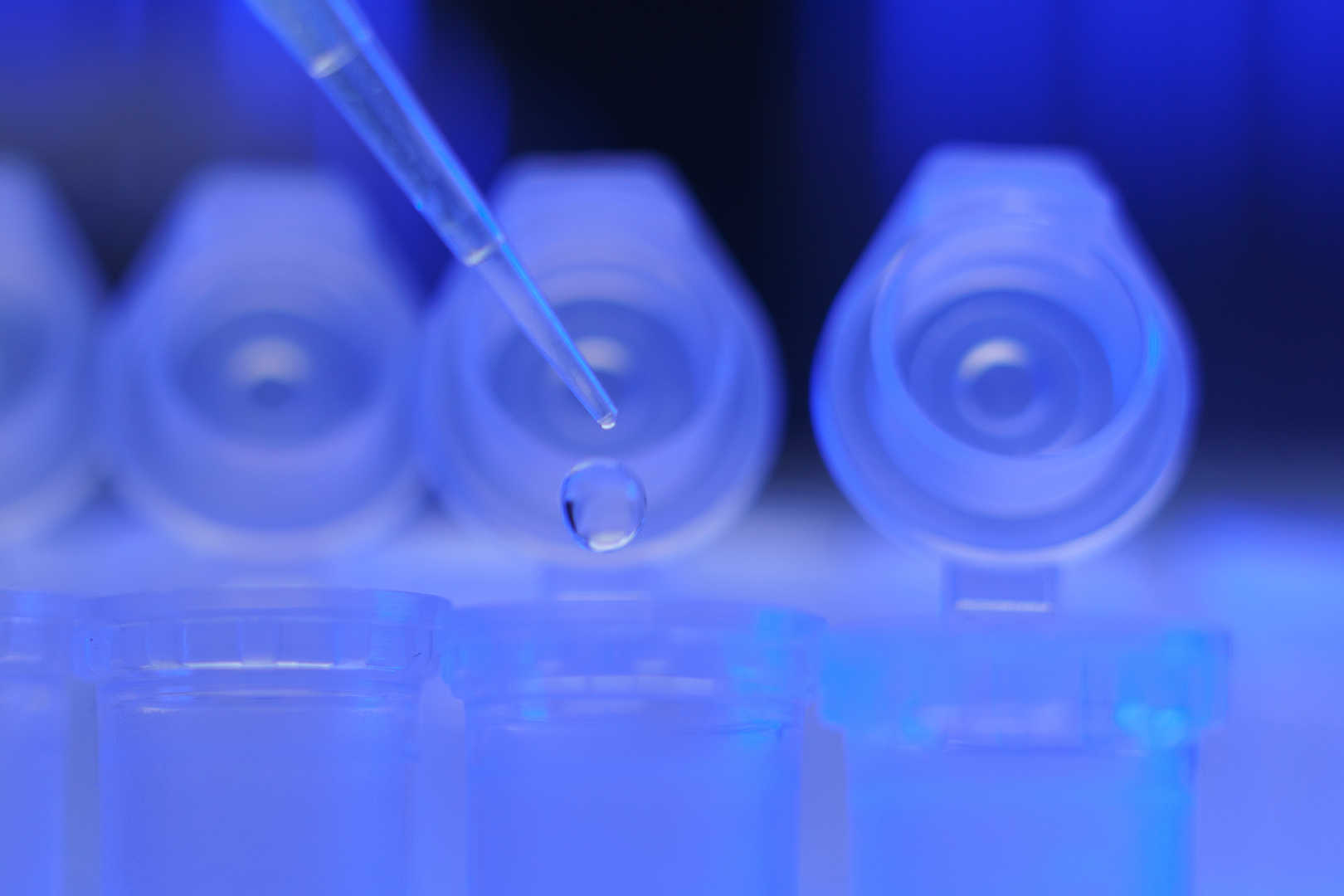 Protein Expression and Purification