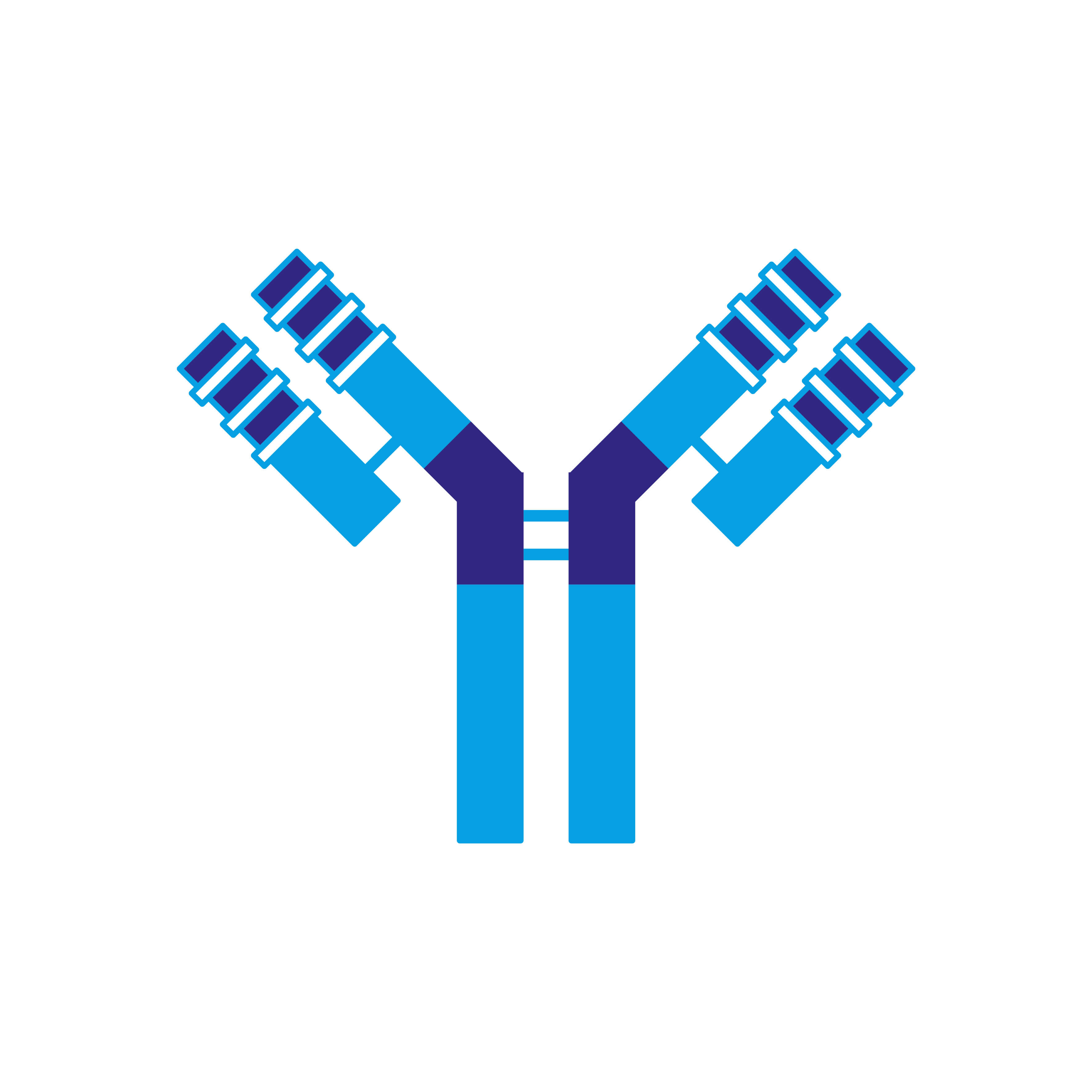 Recombinant Antibody Products