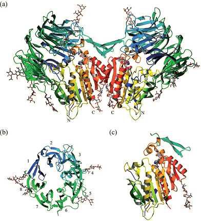 DPP6 Membrane Protein Introduction