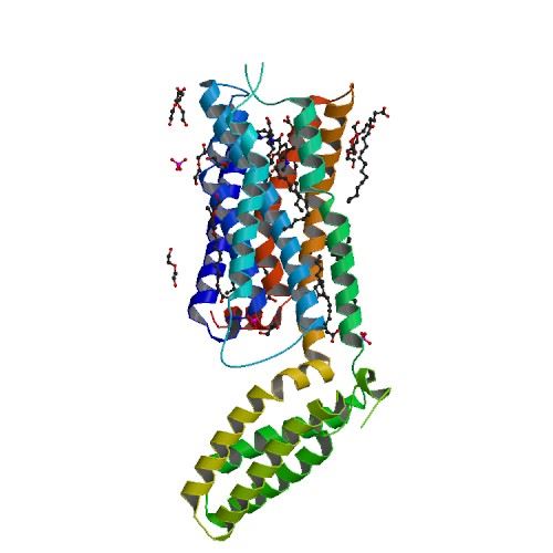 Structure of DRD3 membrane protein.