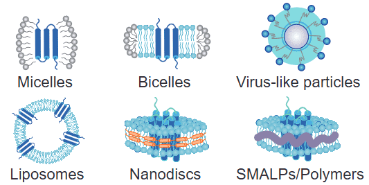 Membrane Protein Platform illustration