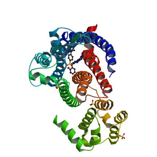 EDNRB Membrane Protein Introduction