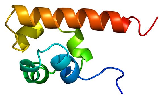 Structure of EPHA4 membrane protein 