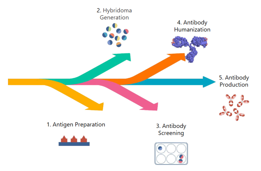 Hybridoma Platform