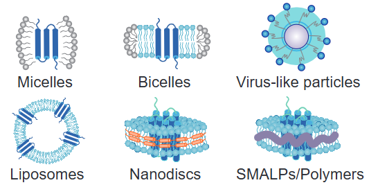 Membrane Protein Platform