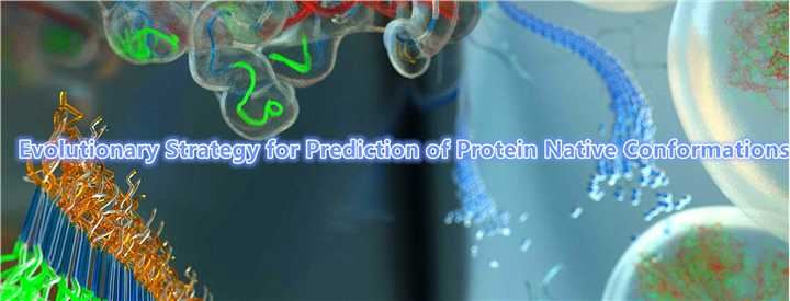 Evolutionary Strategy for Prediction of Protein Native Conformations.