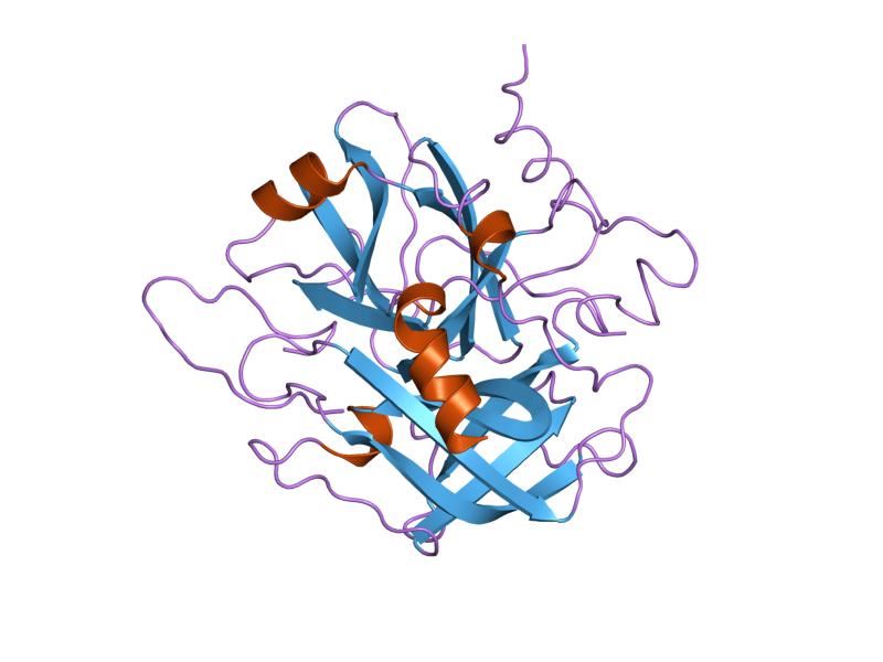 Structure of F2R membrane protein.