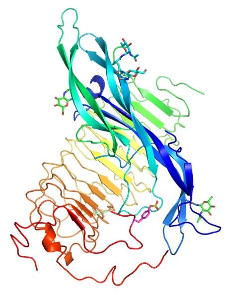 FSHR Membrane Protein Introduction