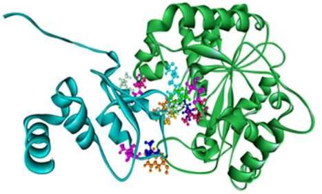 FXYD3 Membrane Protein Introduction