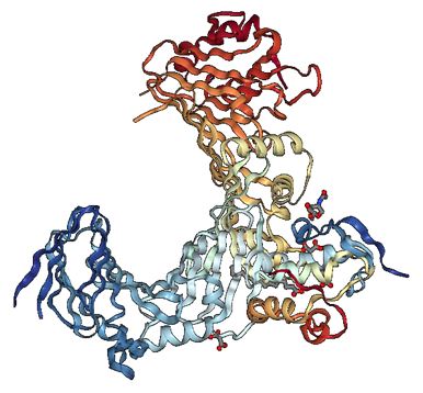 Structure of FZD2 membrane protein