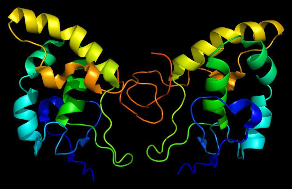 Structure of FZD8membrane protein.