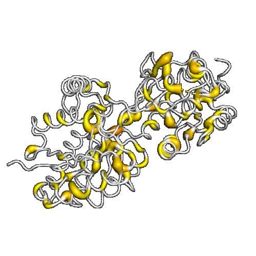 Structure of GABBR2 membrane protein.