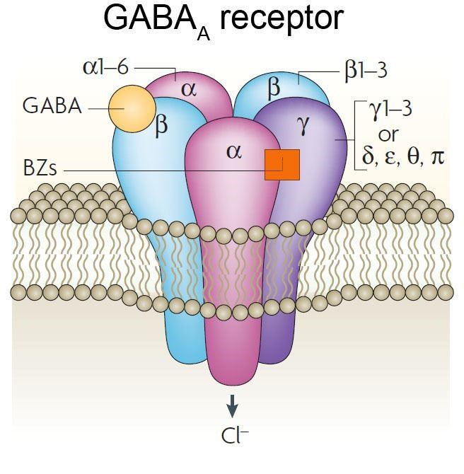 GABAA receptor structure.