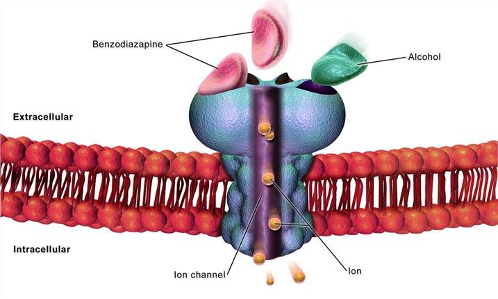 The structure of GABA receptor.