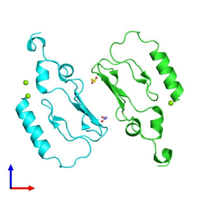 GHRHR Membrane Protein Introduction