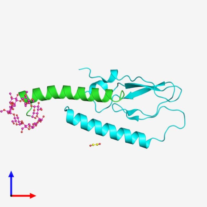 GIPR Membrane Protein Introduction