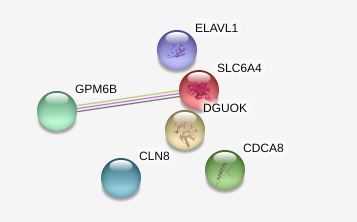 Interacting Proteins for GPM6B Gene.