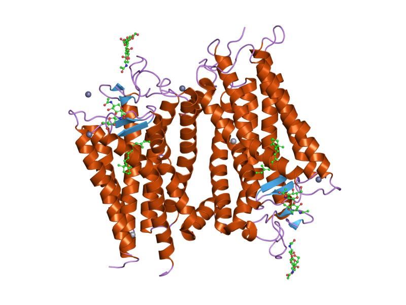 Structure of the GPR101 membrane protein.