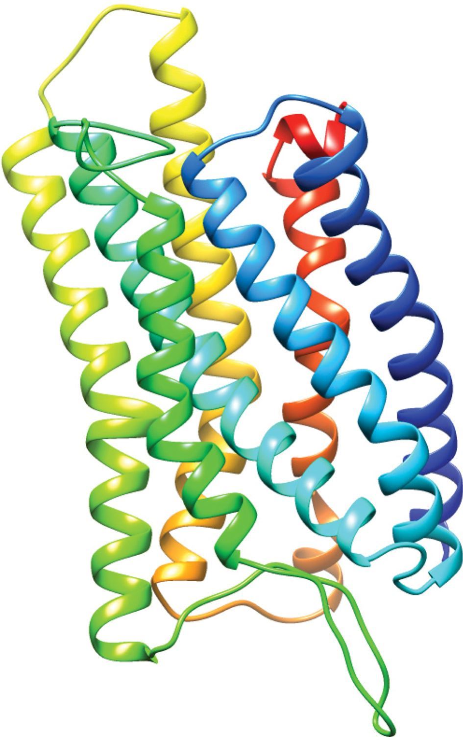 Homology model of GPR18 receptor structure