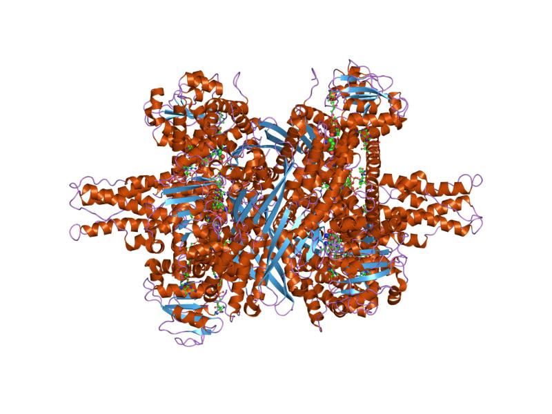Cartoon representation of the molecular structure of protein registered with 1hwx code.