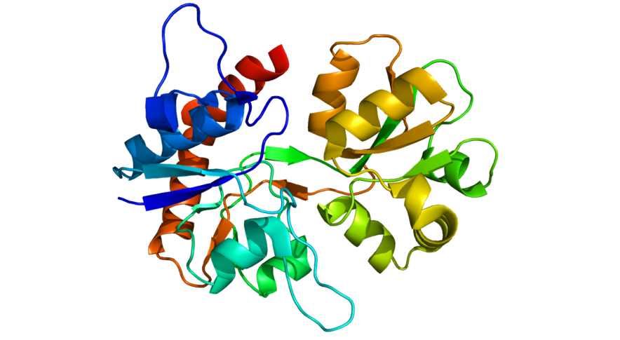 GRIK1 Membrane Protein Introduction