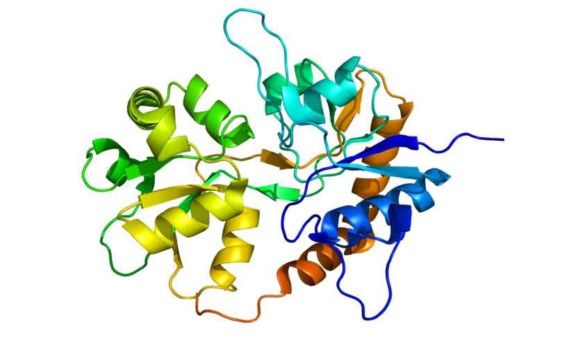 GRIK2 Membrane Protein Introduction
