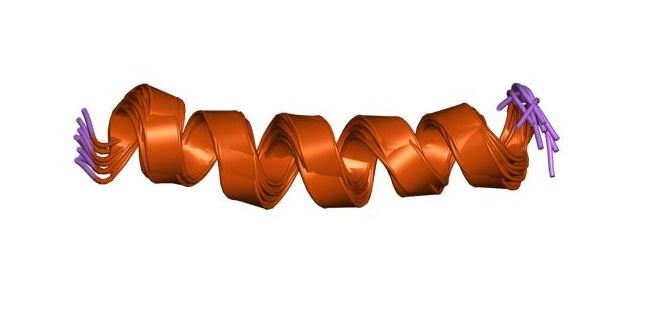 GRIN1 Membrane Protein Introduction