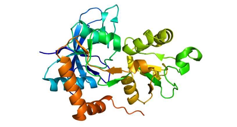 GRIN2A Membrane Protein Introduction
