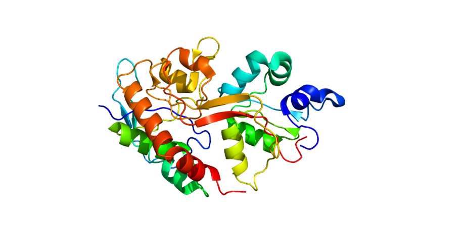 GRIN2B Membrane Protein Introduction