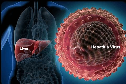 Hepatitis B Virus (HBV) Virus-like Particles (VLPs)