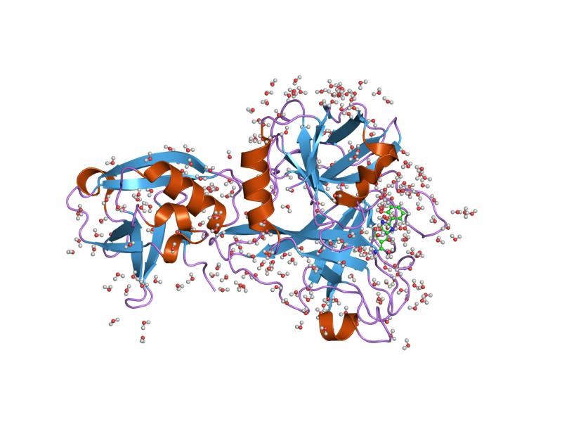  Structure of Serine Protease Hepsin. 