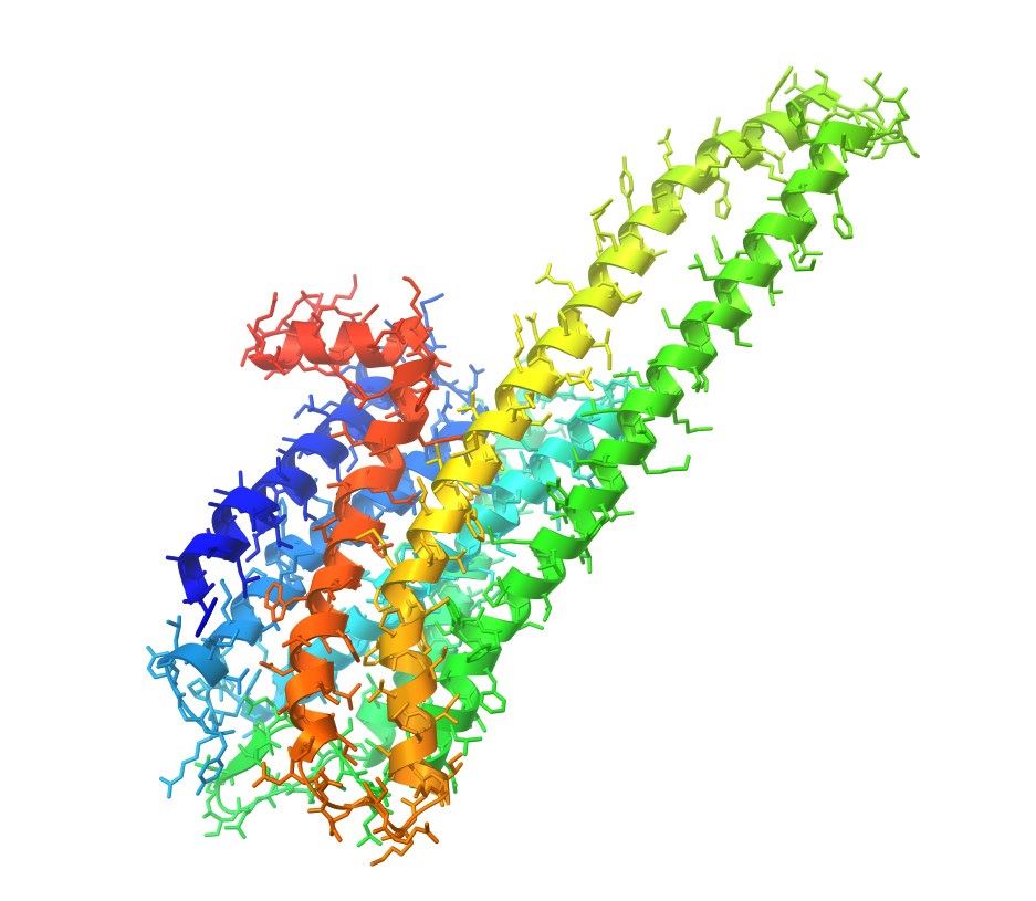 Structure of 5-HT2A membrane protein.