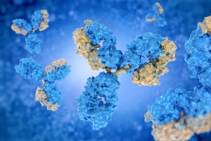 Fig.1. A graph demonstrating antibody. (Creative Biolabs Authorized)