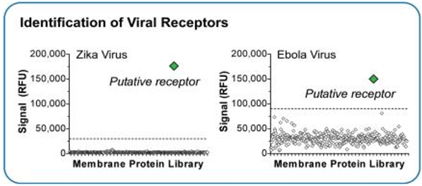 High Throughput Membrane Protein Array Screening for pathogen receptor discovery.