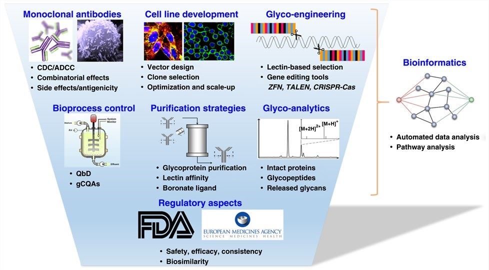Developments and challenges of glycosylation analysis and control in bioprocessing.