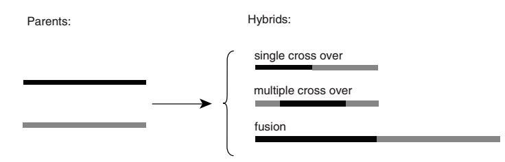 Hybrid Protein Generation Service
