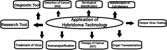 Application of hybridoma technology. (Mitra, S., et al., 2021)