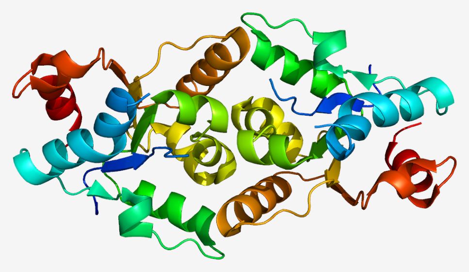 Structure of the IL1RAPL1 protein.
