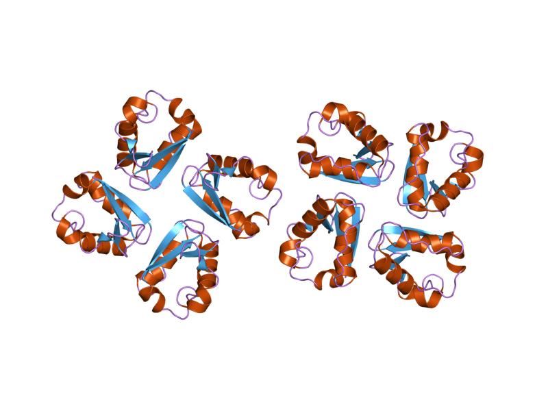Cartoon representation of the molecular structure of KCNA1 protein registered with 1dsx code.