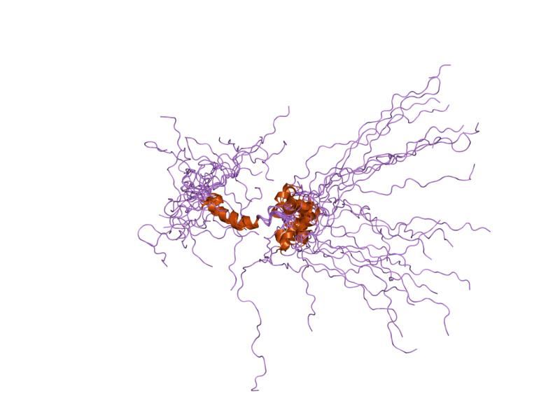 Solution structure of the tandem inactivation domain (residues 1-75) of potassium channel rck4