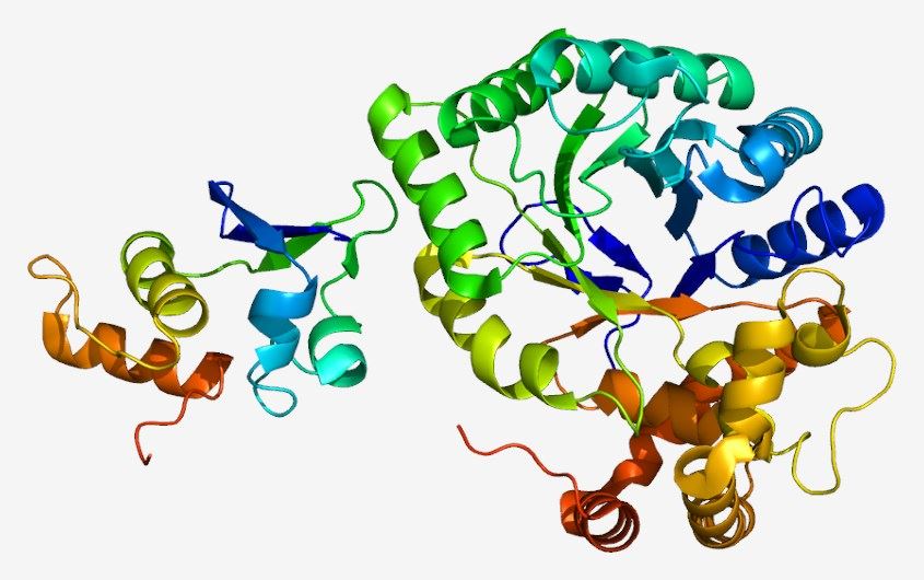 KCNAB2 Membrane Protein Introduction