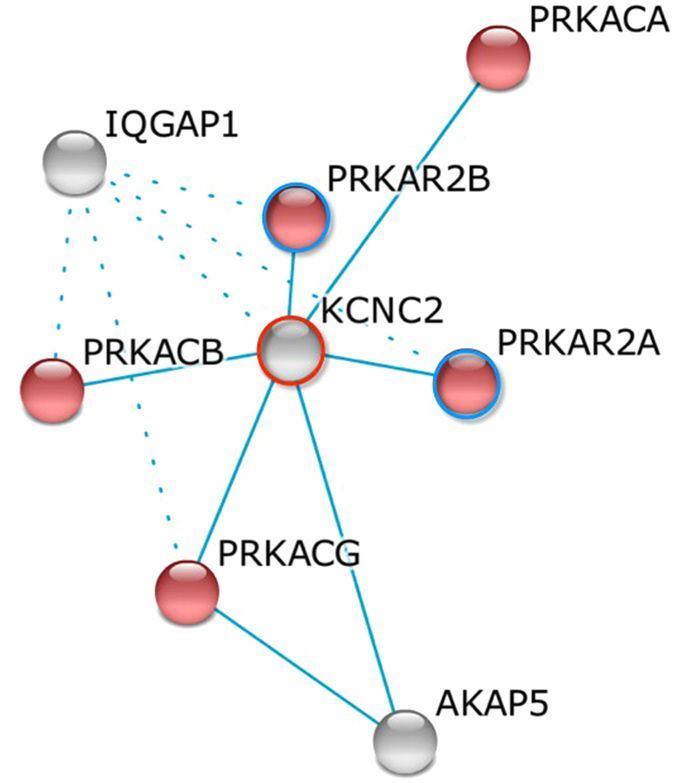 A gene network by k-mean clustering was constructed with insulin signaling pathway enrichment.