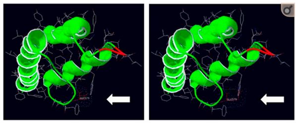 Model 3D protein structure of KCNS2.