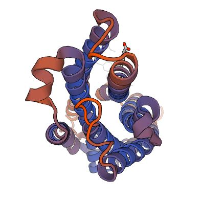 Structure of MCHR1 membrane protein